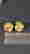 item-134221526=4