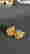 item-134221526=5