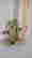 item-134221551=2