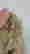 item-134221551=4
