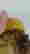 item-134221551=7