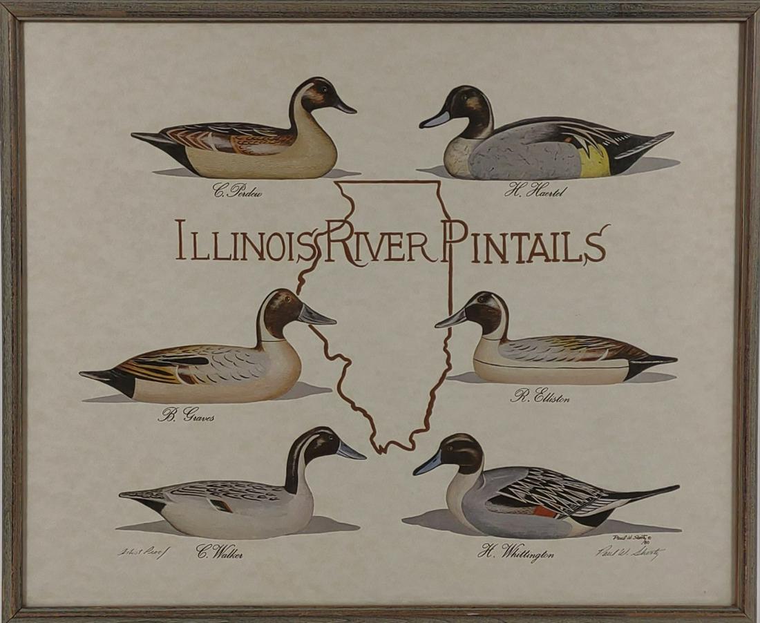 Paul Shertz Signed AP Illinois River Pintails Art (1 of 7)