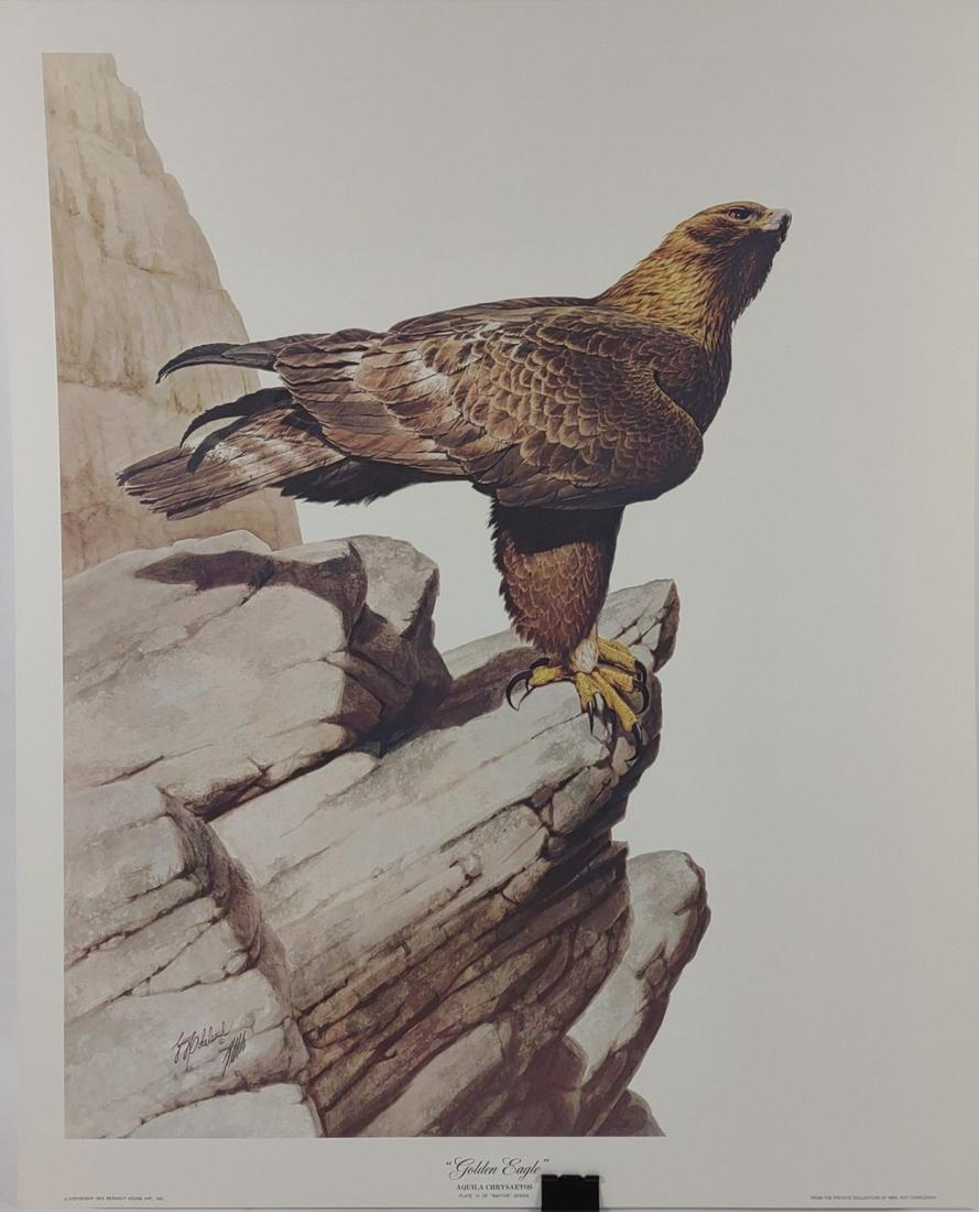 Guy Coheleach Signed Golden Eagle Lithograph (1 of 10)