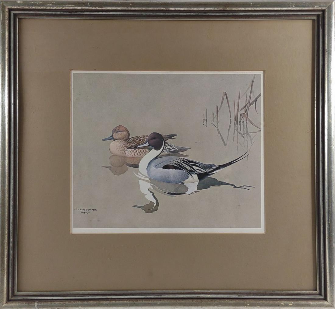 J. Fenwick Lansdowne 1957 Duck Print In Frame