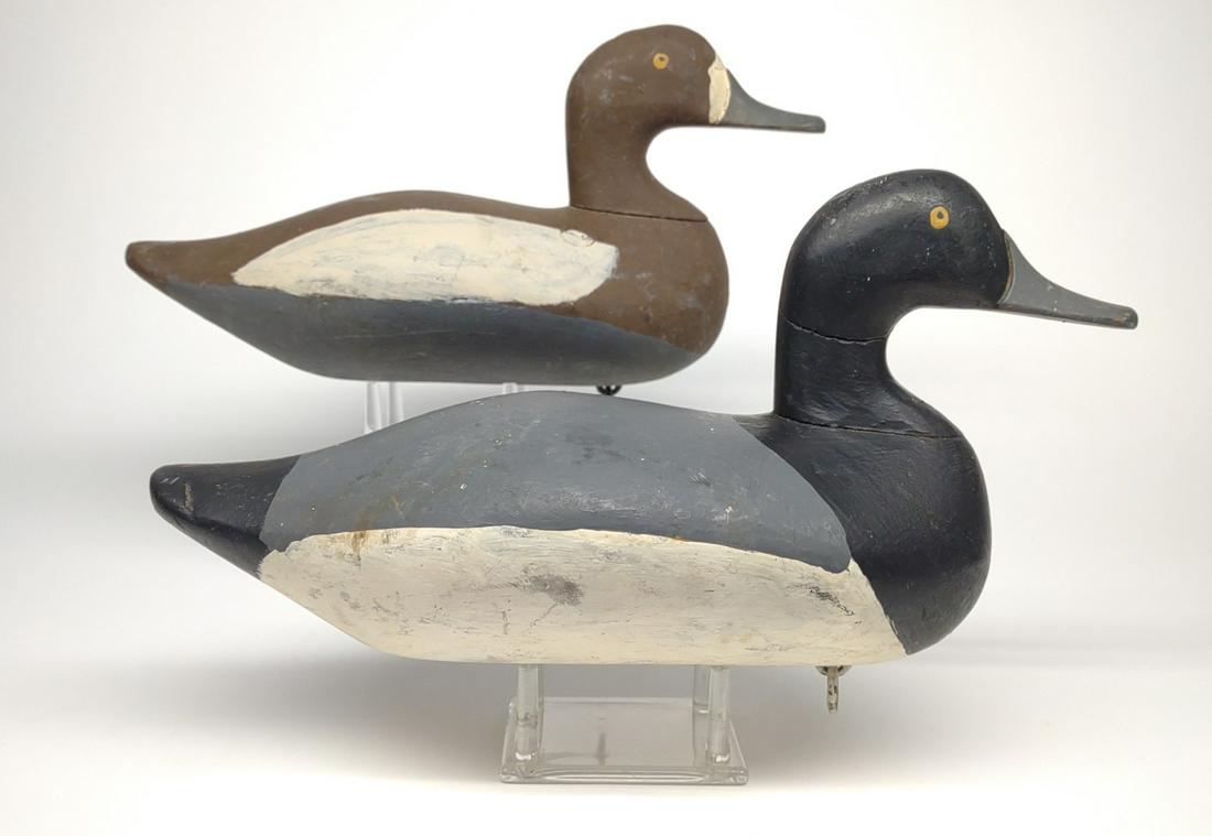 Pr of Robert McGaw Bluebill Drake & Hen Decoys: Pair of early 1900s Robert (Bob) Mcgaw, Havre de Grace, Maryland bluebill hen and drake duck decoys. Hen retains McGaw dog bone weight with 5 tacks. Male has outline of missing dog bone weight. Crack