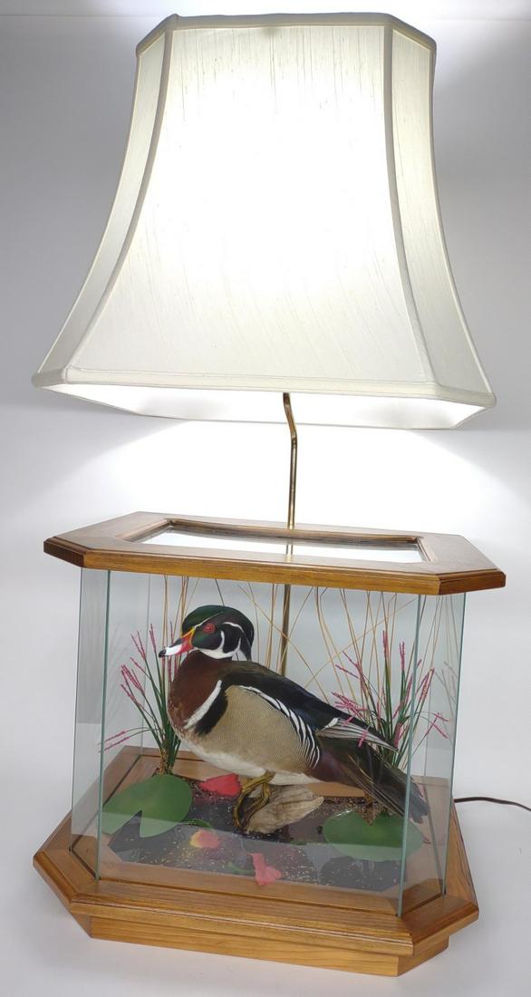 Wood Duck Taxidermy Mounted Lamp (1 of 11)