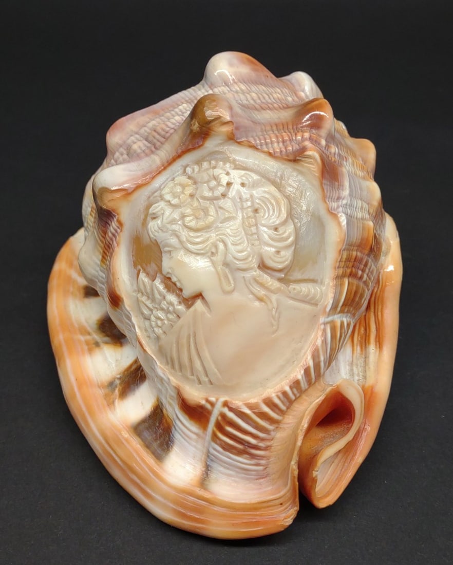 G. Borriello Cameo Carved Conch Shell (1 of 11)