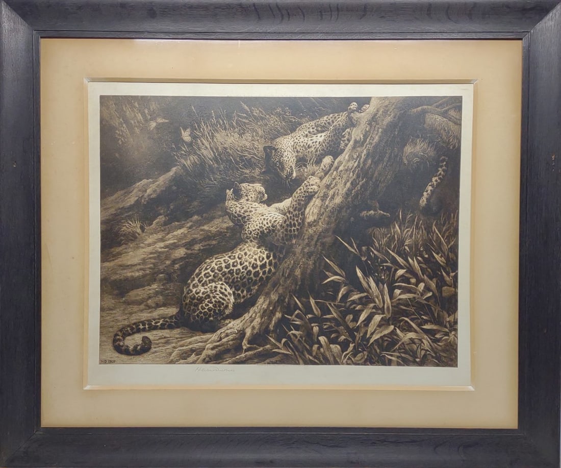 Herbert Dicksee Signed "Two Panthers" 1907 (1 of 11)