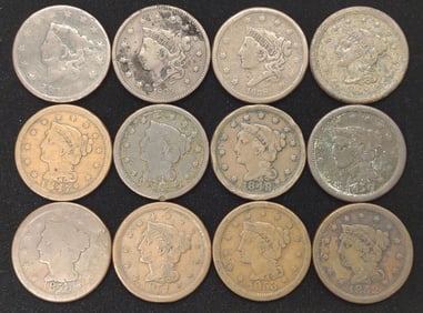 (12) US Coronet Head & Braided Hair Large Cents