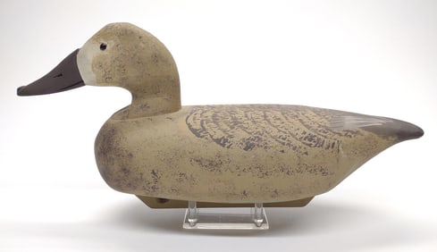 George Schaub Branded Canvasback Hen Duck Decoy