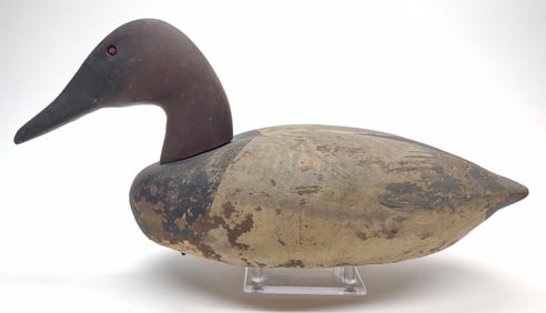 1950s Jack Sweet Decoys Unlimited Canvasback Decoy