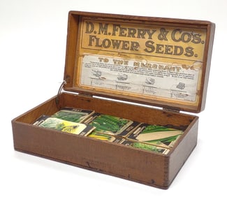 Antique D.M. Ferry Co. Flower Seed Display Box