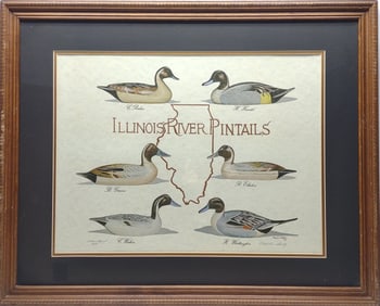 P. Shertz Signed AP Illinois River Decoy Art Print
