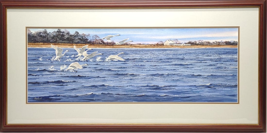 Ned Ewell Original Watercolor of Swans Flying (1 of 7)