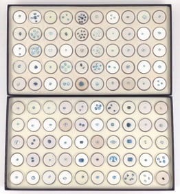 Blue Tone Loose Gemstones (2 Full boxes)