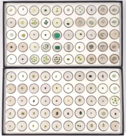 Green Tone Loose Gemstones (2 Full boxes)