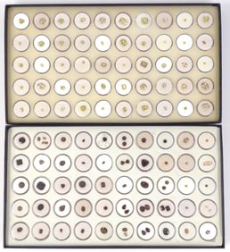 Yellow & Brown Tone Loose Gemstones (2 Full boxes)