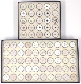 Clear Tone Loose Gemstones (2 Full boxes)