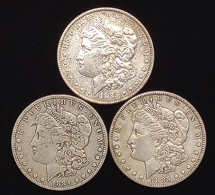 (3) Morgan Dollar US Coins (1884 & 1885)