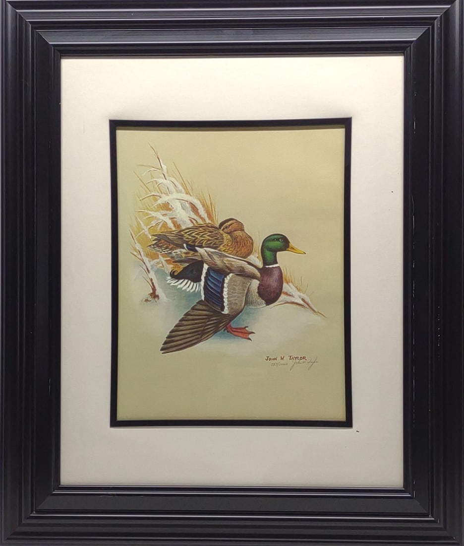 John W. Taylor Pencil Signed Duck Art Print (1 of 6)
