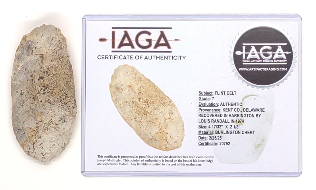 Native American Flint Celt Delaware (IAGA COA) (1 of 5)