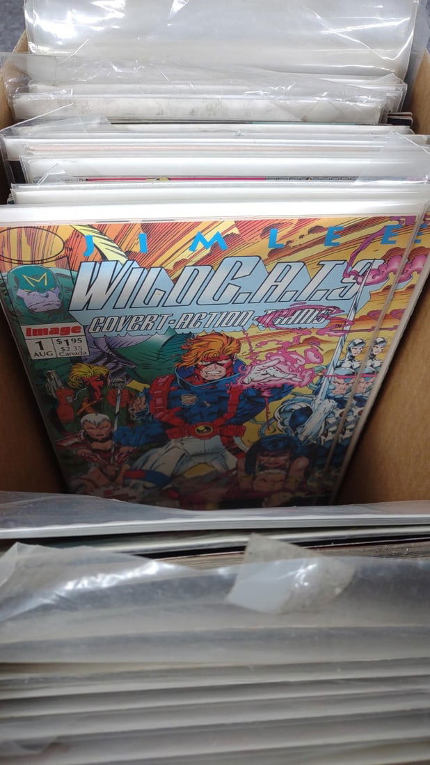 (99) Image Comic Books (Battle Chasers, Spawn Ect) - 8