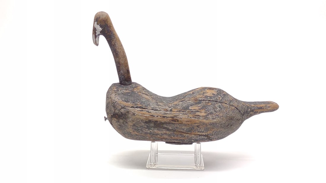 Root Head Coot Duck Decoy - 2
