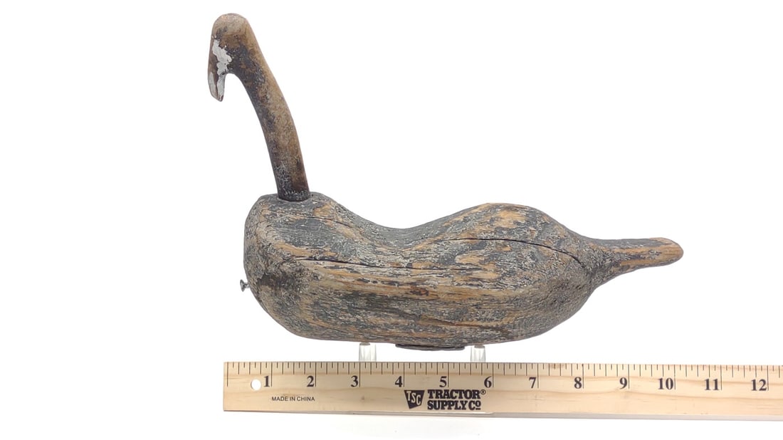 Root Head Coot Duck Decoy - 3