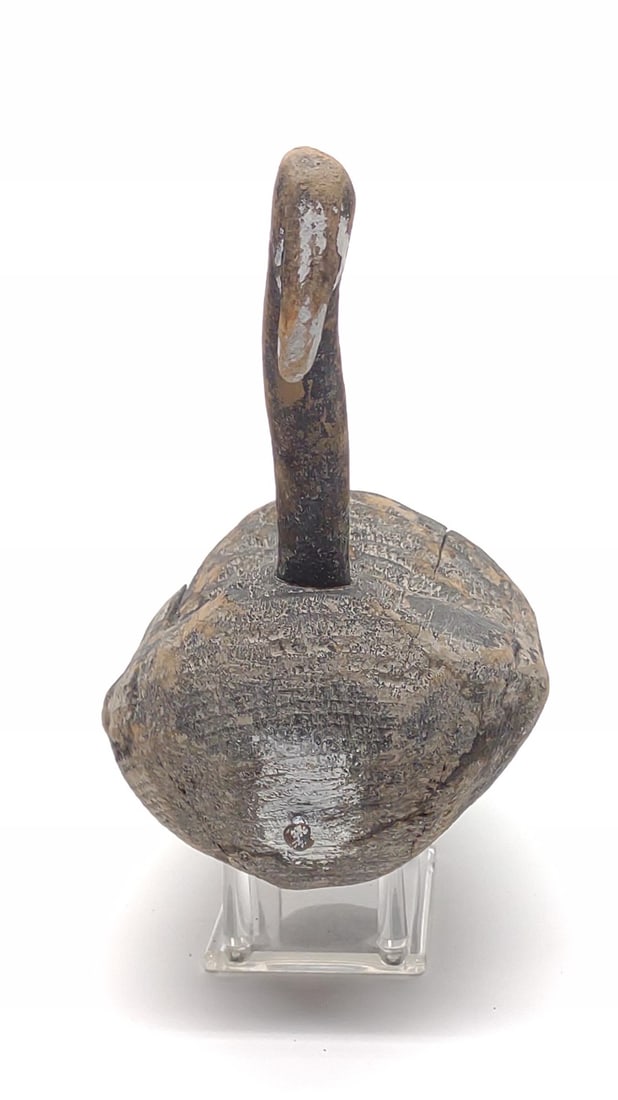 Root Head Coot Duck Decoy - 4