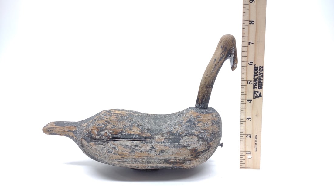 Root Head Coot Duck Decoy - 6