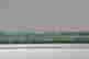 item-130741815=4