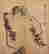 item-130741841=4