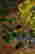 item-130741844=4