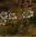 item-130741844=5