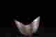 item-130741856=6