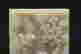 item-130741870=2