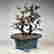 item-130742046=8