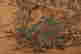 item-130742052=4