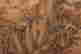 item-130742052=7