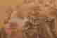 item-130742052=8