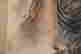 item-130742054=11