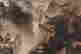 item-130742054=4