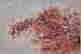 item-130742055=5