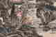 item-130742061=8