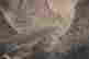 item-130742062=5