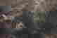 item-130742062=6