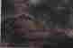 item-130742062=8