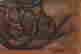 item-130742063=3