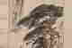item-130742074=5