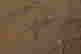 item-130742085=4
